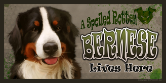 Bernese_Spoiled Rotten sign